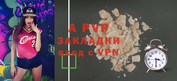стаф Богданович